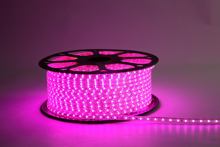 4040-60D-6MM Pink Light Strip