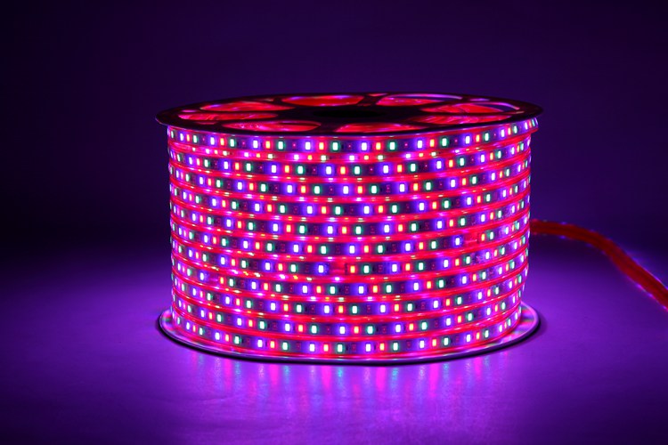 Cinturón de Luz LED de cuatro colores de alto brillo