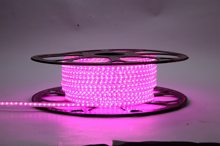 2025 120D 4MM 분홍색 램프 밴드