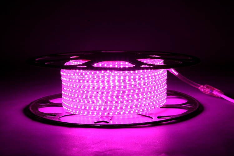 2025 120D 4MM 분홍색 램프 밴드