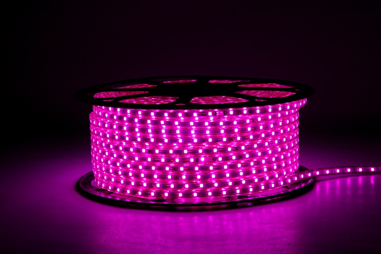 Cinturón de luz rosa 4040 - 60d - 6mm