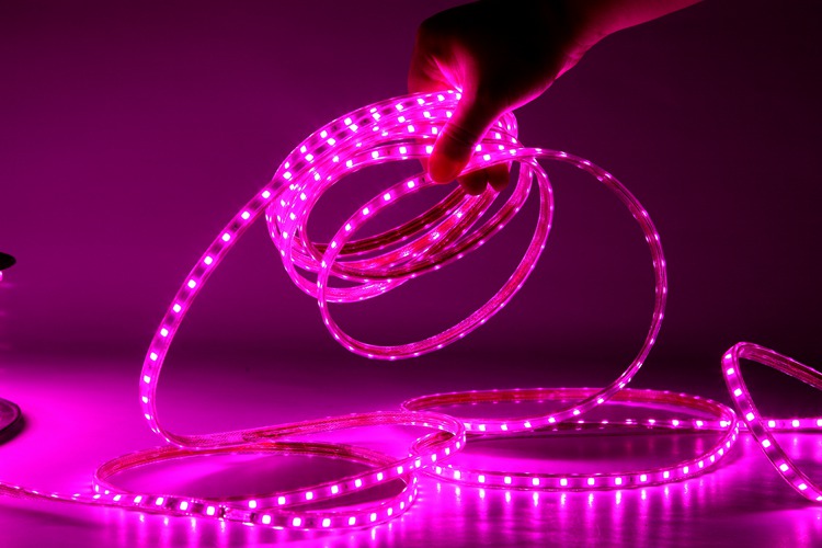4040-60D-6MM 분홍색 램프