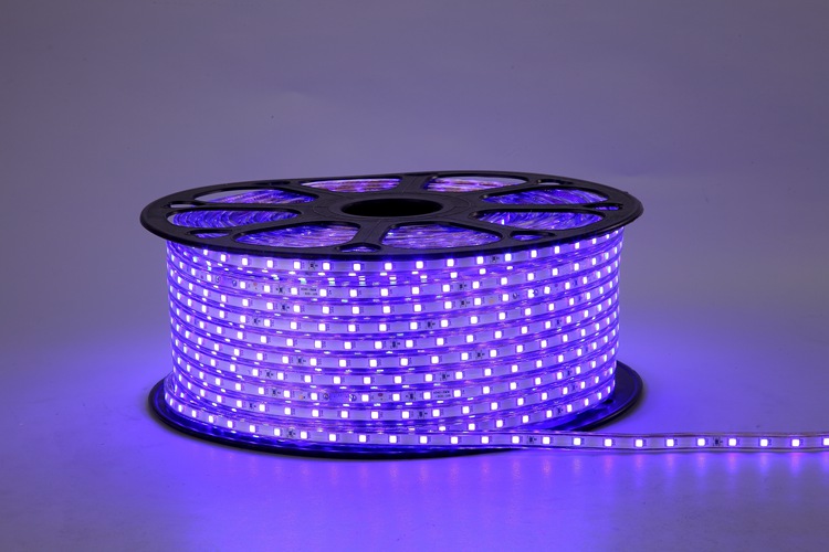 4040-60D-6MM Purple LED Strip Lights