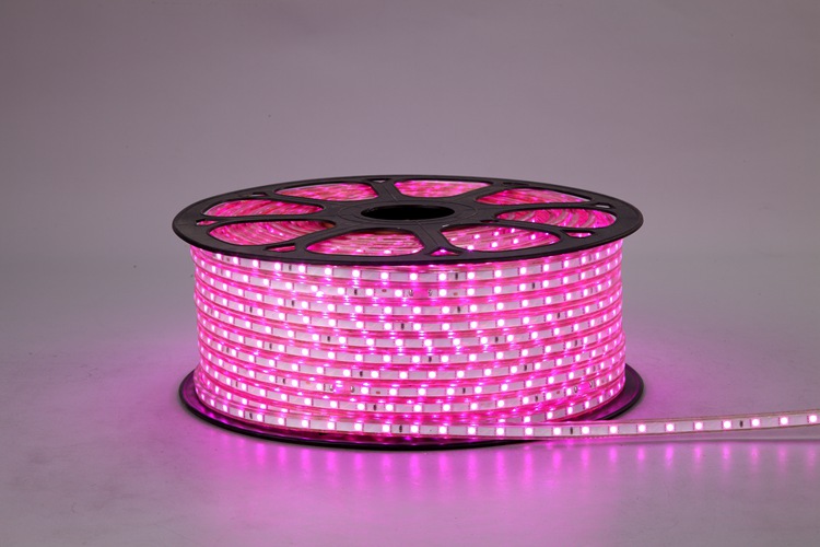 5050 60d 6 mm cinturón de luz rosa
