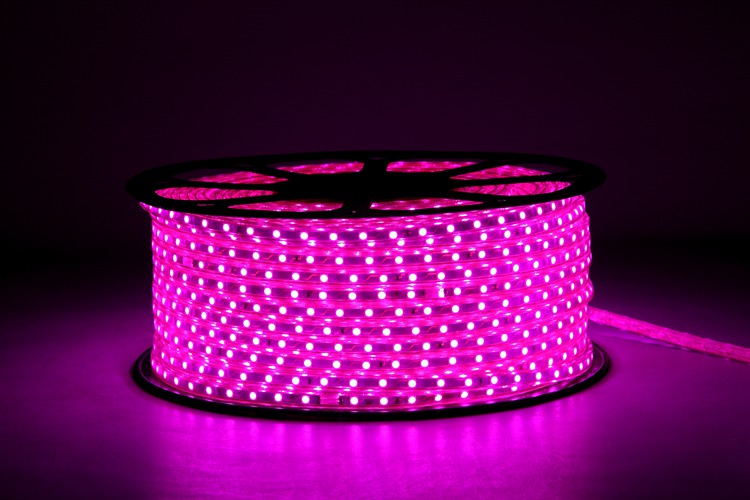 5050 60D 6MM 분홍색 램프