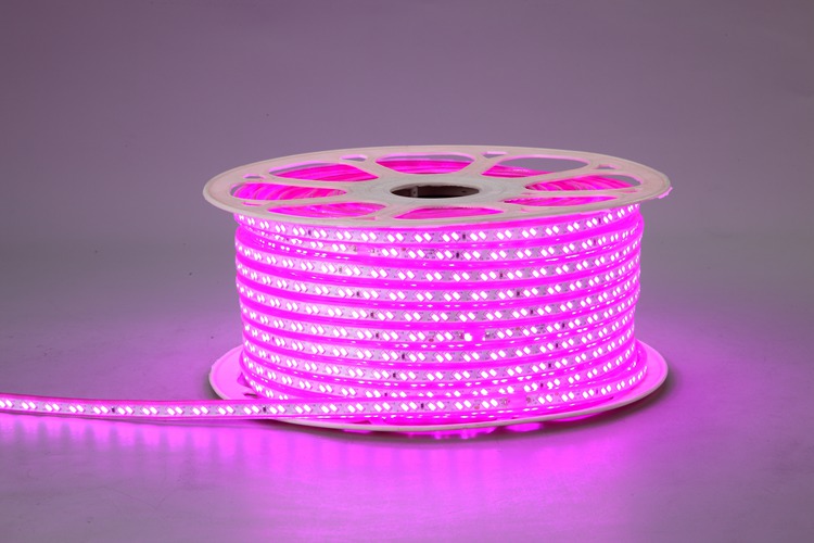 5730 120d 10 mm cinturón de luz rosa