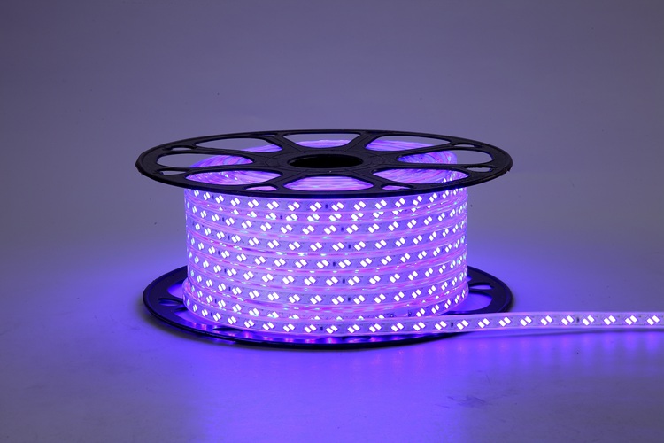 5730 120d 10 mm cinturón de luz púrpura