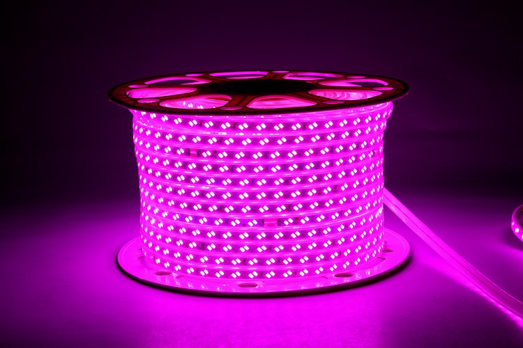 5730 120d 12mm cinturón de luz rosa