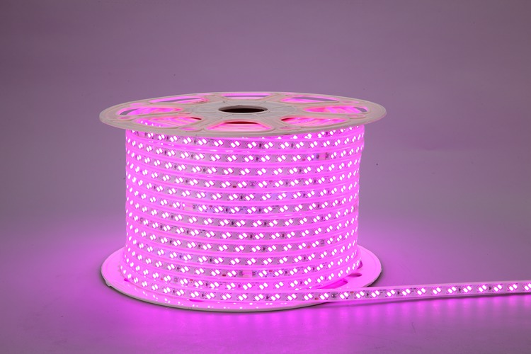 5730 120d 12mm cinturón de luz rosa